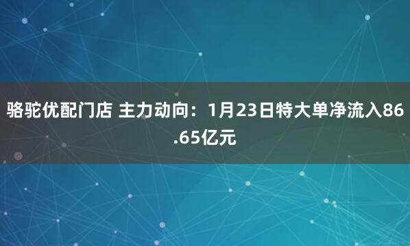 骆驼优配门店 主力动向：1月23日特大单净流入86.65亿元