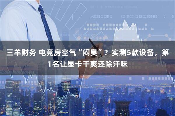 三羊财务 电竞房空气“闷臭”？实测5款设备，第1名让显卡干爽还除汗味