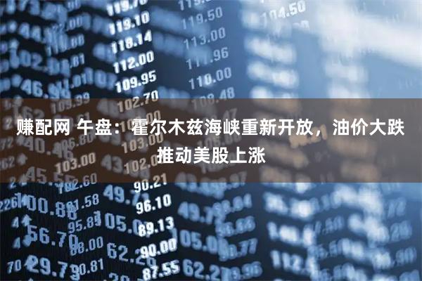 赚配网 午盘：霍尔木兹海峡重新开放，油价大跌推动美股上涨